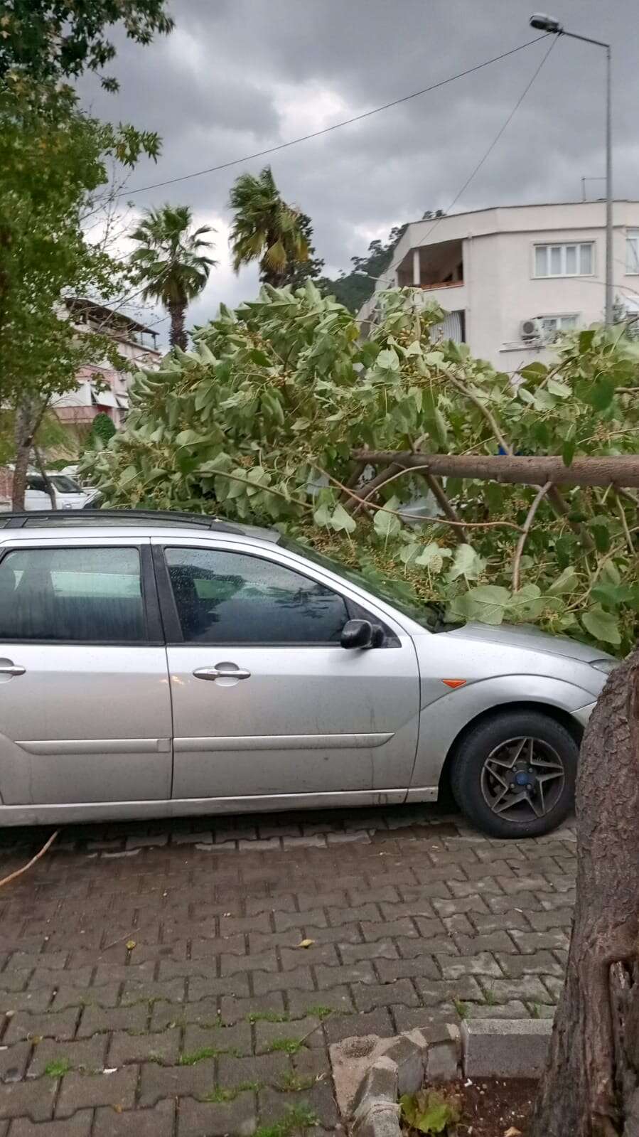 Marmaris’te Fırtına ve Sağanak Yaşamı Olumsuz Etkiledi 5